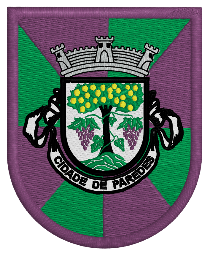 Emblema Cidade Paredes